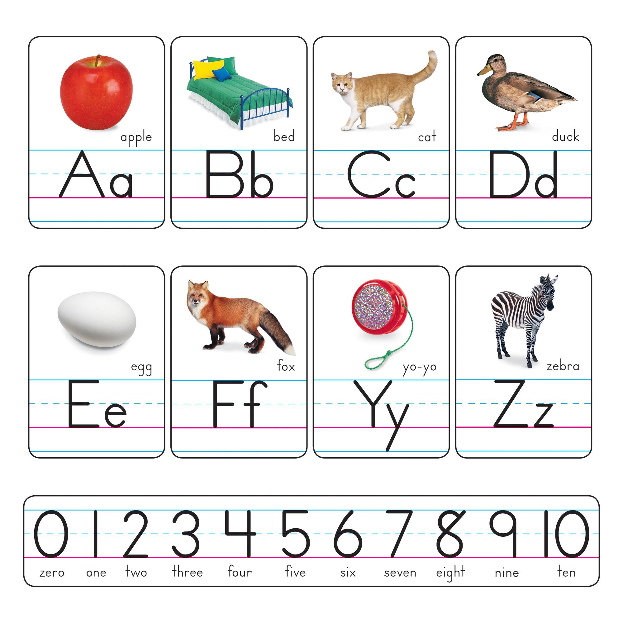 Trend Enterprises® Photo Alphabet Cards Zaner-Bloser Manuscript Bulletin Board Set